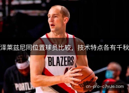 泽莱兹尼同位置球员比较，技术特点各有千秋